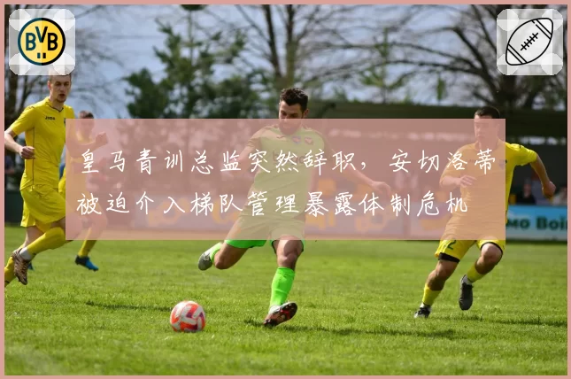 皇马青训总监突然辞职，安切洛蒂被迫介入梯队管理暴露体制危机