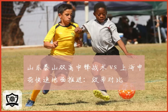 山东泰山双高中锋战术 vs 上海申花快速地面推进：效率对比