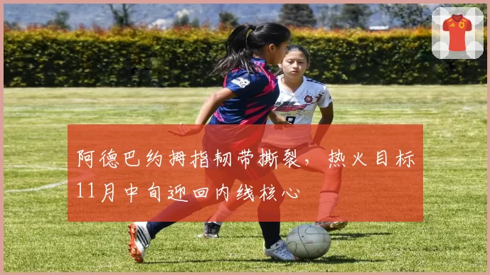 阿德巴约拇指韧带撕裂,热火目标11月中旬迎回内线核心