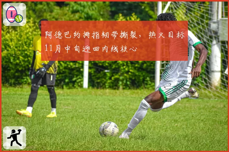 阿德巴约拇指韧带撕裂,热火目标11月中旬迎回内线核心